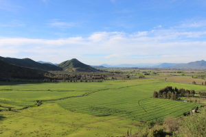 Wine Country Of Chile